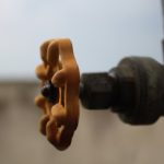 unsplash_278.jpg