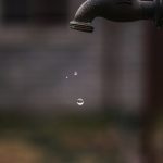 unsplash_339.jpg