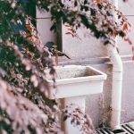Благоустройство территорий в Тольятти unsplash_987.jpg